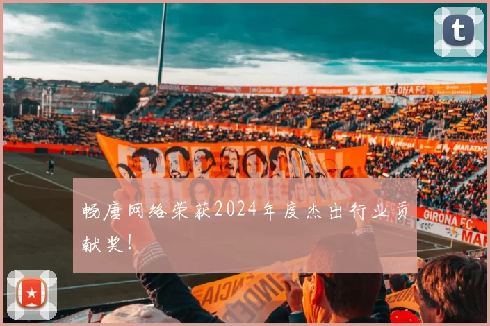 畅唐网络荣获2024年度杰出行业贡献奖！