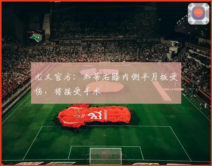 尤文官方：加蒂右膝内侧半月板受伤，将接受手术