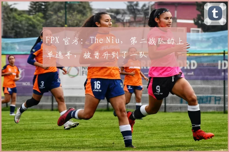 FPX 官方：The Niu，第二战队的上单选手，被晋升到了一队