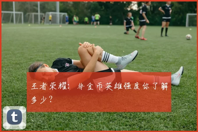 王者荣耀：非金币英雄强度你了解多少？