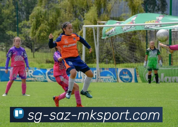 mk体育服务体系